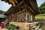 봉정사는 7세기에 의상대사의 제자 능인이 창건했다고 전한다. 고려에서 조선까지 시대별 건축양식을 감상할 수 있으며, 사찰로 올라가는 비탈의 울창한 숲은 산책로로 훌륭하다. 문의 054-853-4181