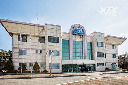 함평과 가까운 역은 광주송정역, 나주역이다. 서울 출발을 기준으로 용산역에서  광주송정역까지 1시간 50분 정도 걸린다. 축제 기간 동안 함평역에 KTX가 임시 정차한다.